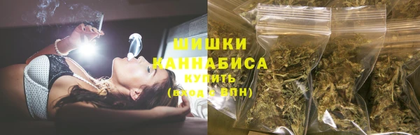 стаф Арсеньев