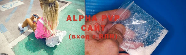 стаф Арсеньев