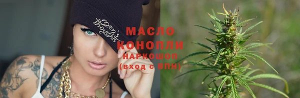 стаф Арсеньев