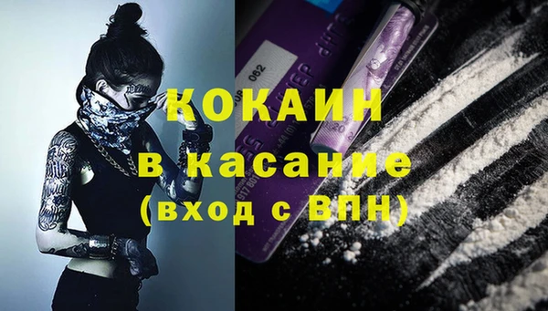 стаф Арсеньев