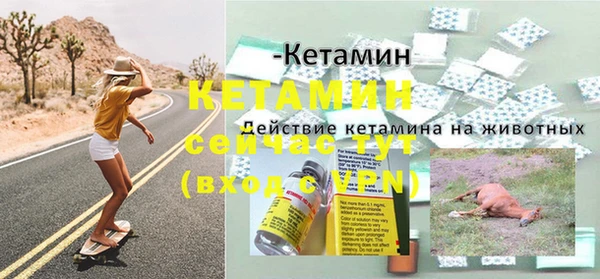 стаф Арсеньев