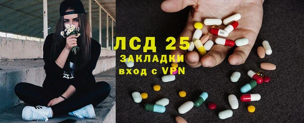 стаф Арсеньев