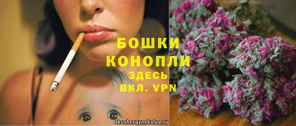 стаф Арсеньев