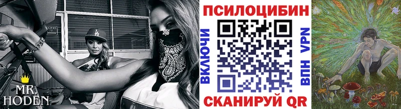купить закладку  Аркадак  Галлюциногенные грибы Magic Shrooms 